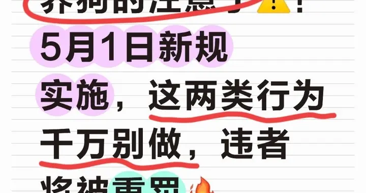 养狗人注意了！5月1日新规实施 这两类行为千万别做，违者将被重罚