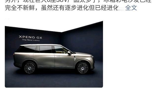 新兴星：韩露说的对，小鹏GX这个车型价格