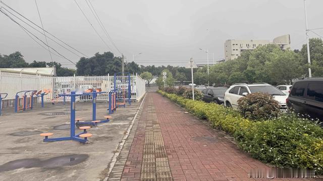 澄澄的观点：阴雨天刚过，出来散步透透气