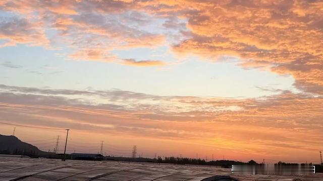 优美漂流瓶阳阳