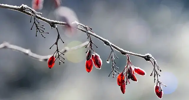 学员利润翻倍背后的认知升级：专注一个站点，拒绝贪婪扩张