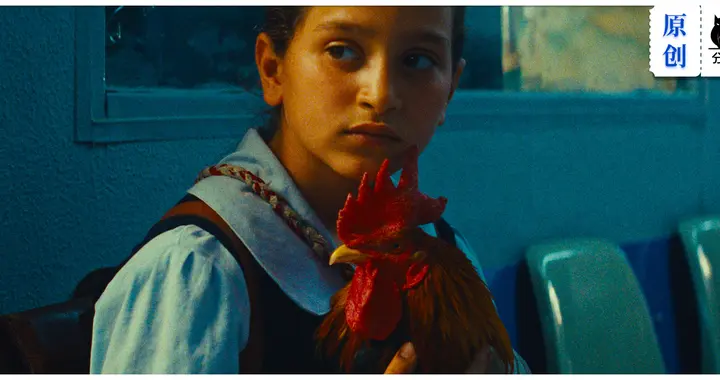 这部冷门佳片，烂番茄新鲜度99%