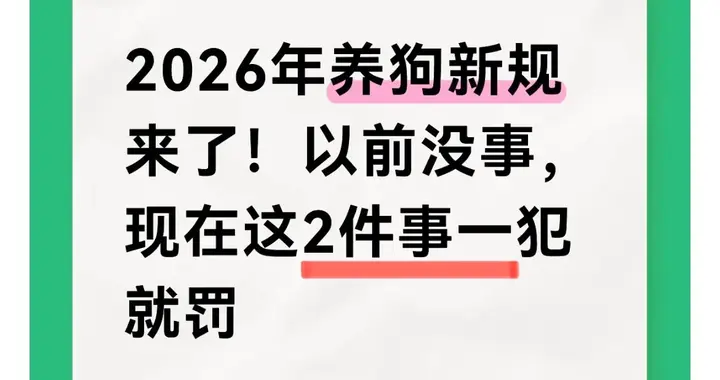 2026年养狗新规来了！以前没事，现在这2件事一犯就罚