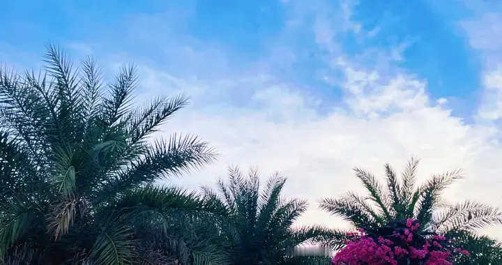 20句治愈所有情绪·朋友圈文案