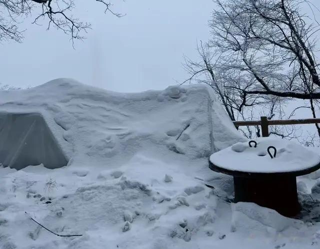 庐山二月雪景随手拍