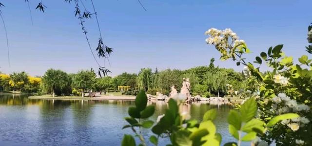 柳暗花明处，共赴五月之约