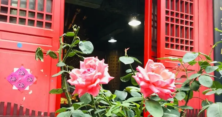 最怕某一天，突然懂了一座庵！