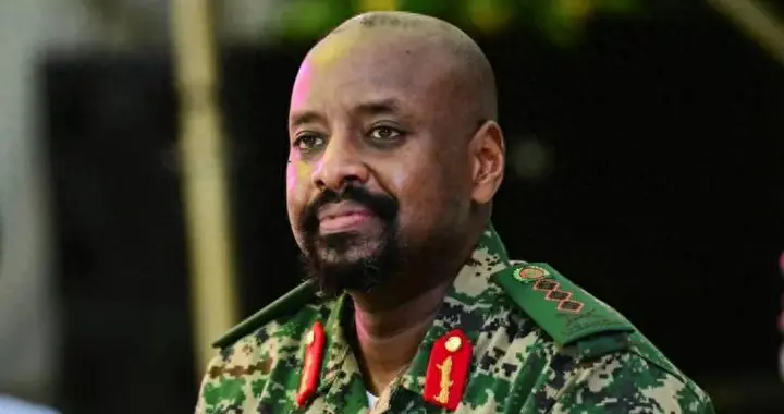 意外变数！乌干达总司令撂下狠话：以色列战败，乌方直接出兵介入