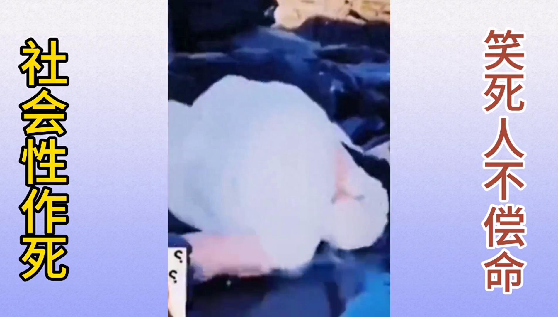 笑死人不偿命：路人拍到女生尴尬倒霉爆笑瞬间，美女一个比...