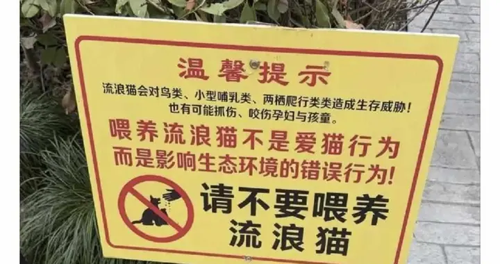 湖北小区警示牌刷屏：喂流浪猫不是爱猫，称投喂流浪猫破坏生态