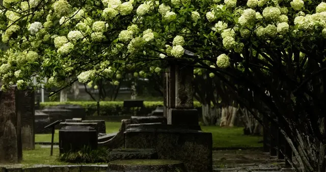 我让仇人跪在父亲坟前，他磕了三个头后，我说了句话让他当场崩溃