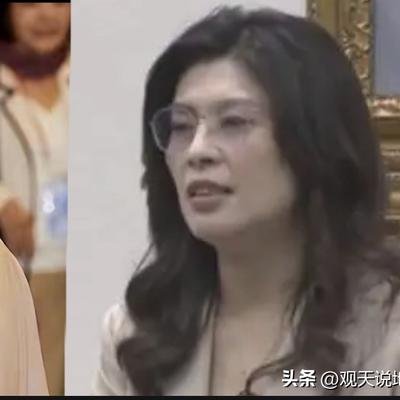观天说地：中国国民党台面上的这四位党主席