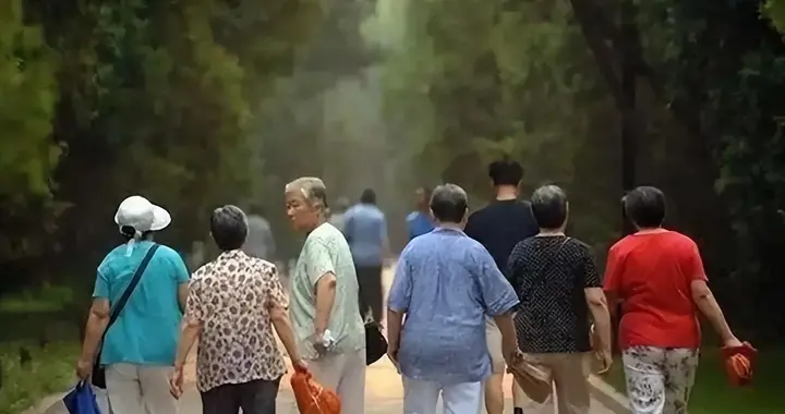 日本养老体系彻底崩塌，给了中国警告：最先倒下的，也许不是老人