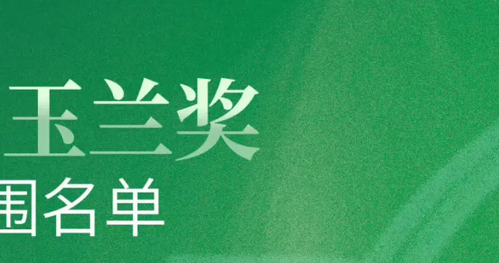 第31届上海电视节白玉兰奖的入围名单已提名