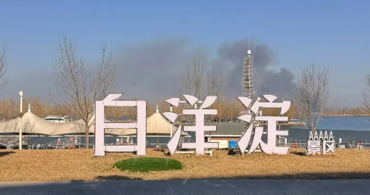 白洋淀，值得你重拾信任，欢迎再次光临！