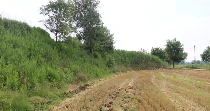 踏访阳信故城信阳遗址