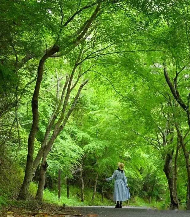 退休后，我就想有个这样的小院！