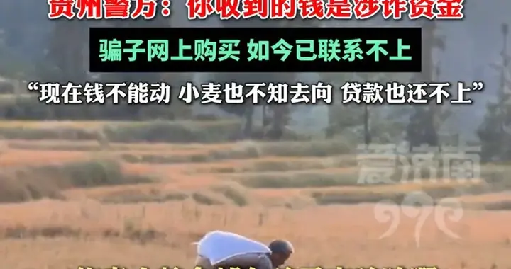 28万元卖粮款被冻结，诈骗分子主责，受骗者次责，农民无责