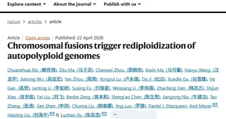 Nature | 打破多倍体对称性！单体型基因组揭示“染色体融合”触发二倍体化