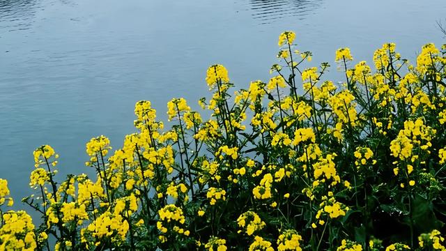 家有考生001：碰到一位高三学生的家长