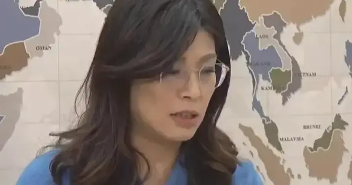 5000新人加入蓝营，绿营彻底慌了，郑丽文加码向白营抛橄榄枝！