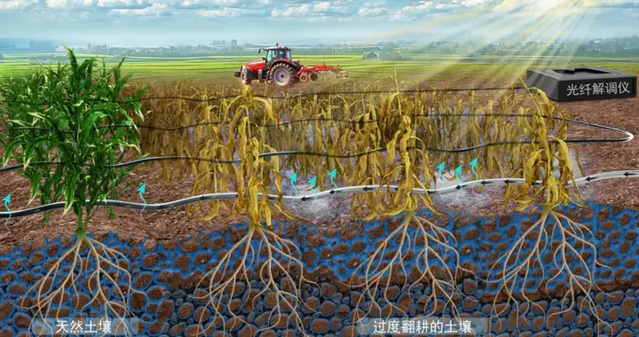 光纤“听诊”，破解土壤“脉动”密码 | 科技前线