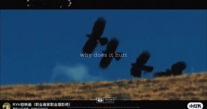 我发布了一条视频，快来看看吧～