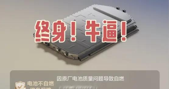 别家还在秀针刺测试吹安全，理想直接玩真的：电池起火终身赔新车