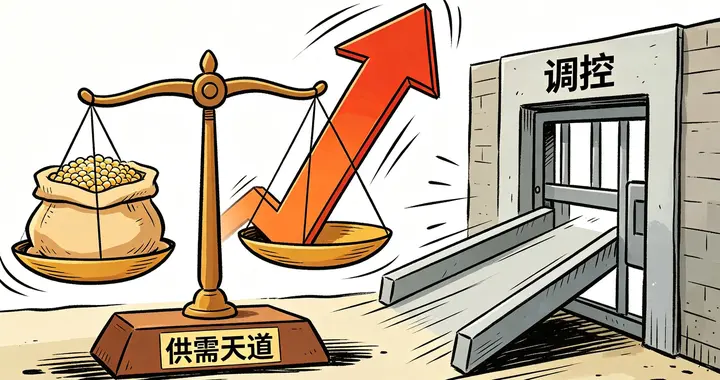 傅海棠为何淡出？“天道”底牌与调控的终极较量