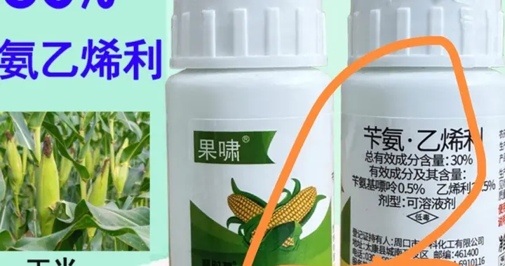 作物“缩节”“增粗”的植调“神器”，既改善作物品质还提高产量