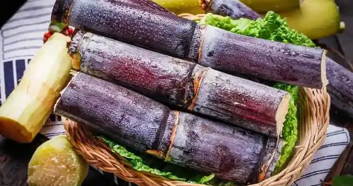 甘蔗被关注！调查发现：糖尿病人吃甘蔗，不过多久或有5益处