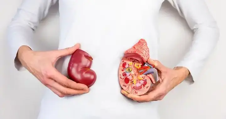 医生发现：肾脏有囊肿的人，身体一般或可能有5个表现？