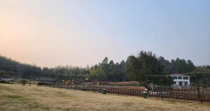 江苏气温直冲20℃，然后暴跌至个位数，春节前这波过山车太磨人