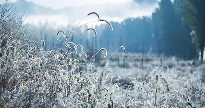 霜降小心“冻”出中风，做好3处保暖+备对2类急救药