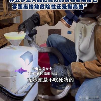 名山短剧：95后女生不进城打工，回村与6