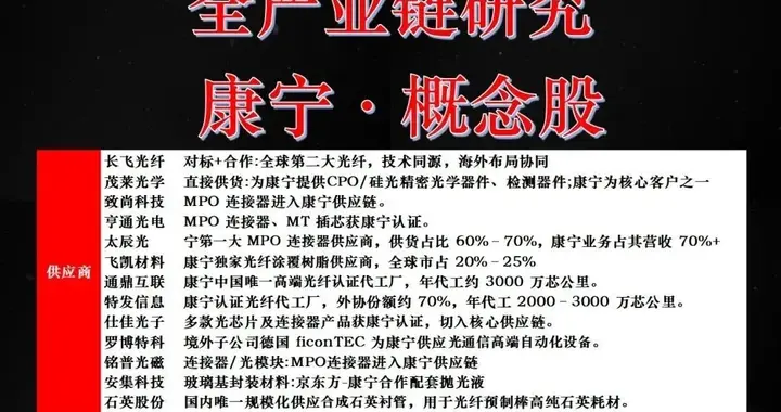 康宁业绩交流核心要点总结