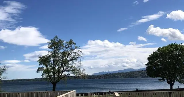 全球牛市背景下，同足球一样的A股：盈利者皆高阶玩家