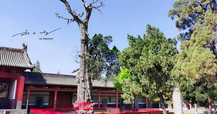 曾经是我国“四大河流”之一，如今却隐退成为地下水，游客：神奇