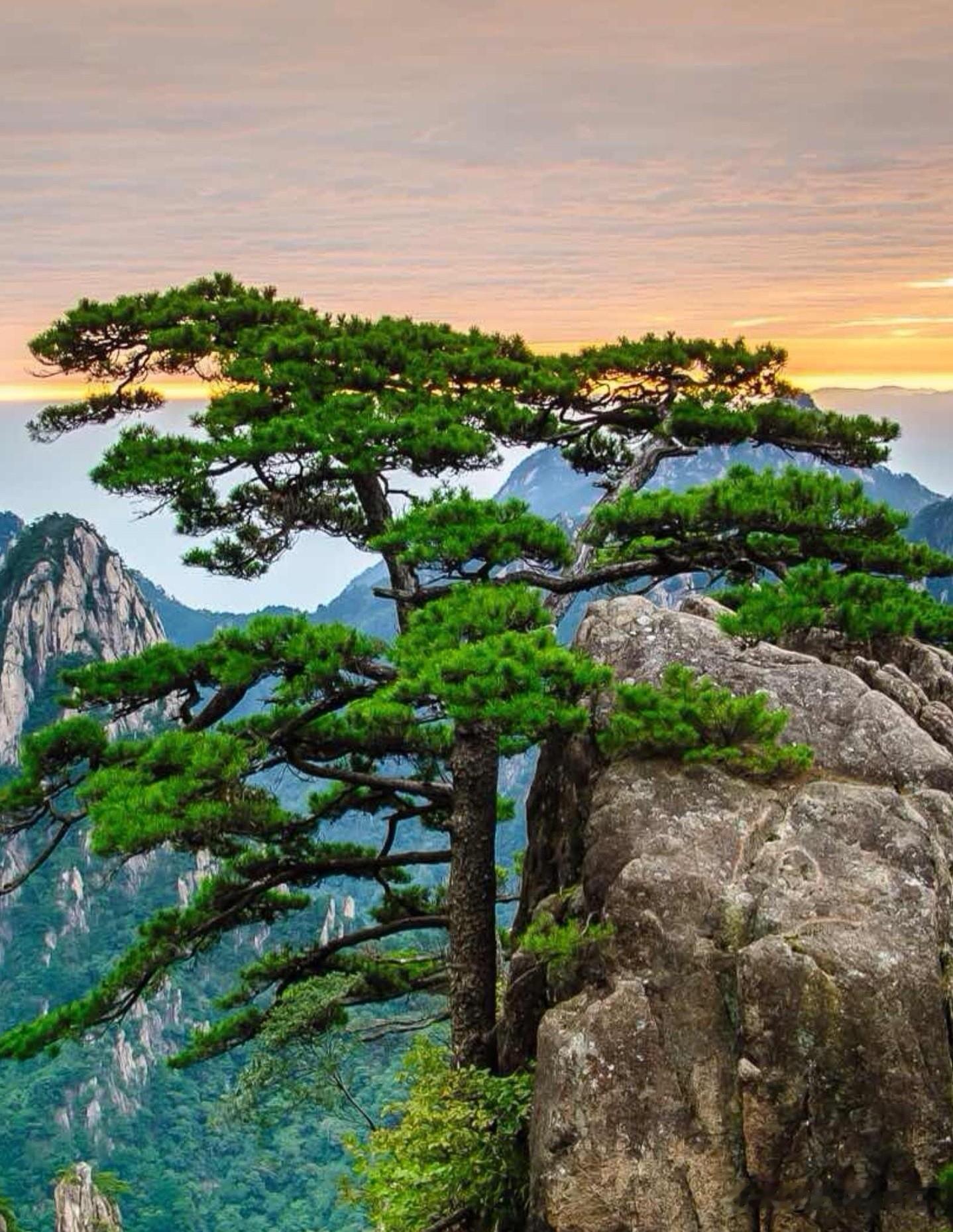还有一半没去过， 余生还有许多值得期待的旅程！  最新报道中国世界遗产...
