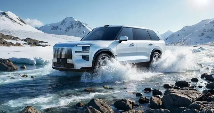 闲鱼订单溢价2.5万,日租8000元抢先体验,极氪9X催生二级市场火热