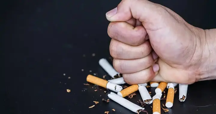 烟再次被关注？医生研究发现：吸得越多，寿命或越长？告诉你真相