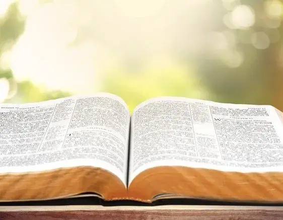 桌面上的星光：写给每个正在书写未来的你