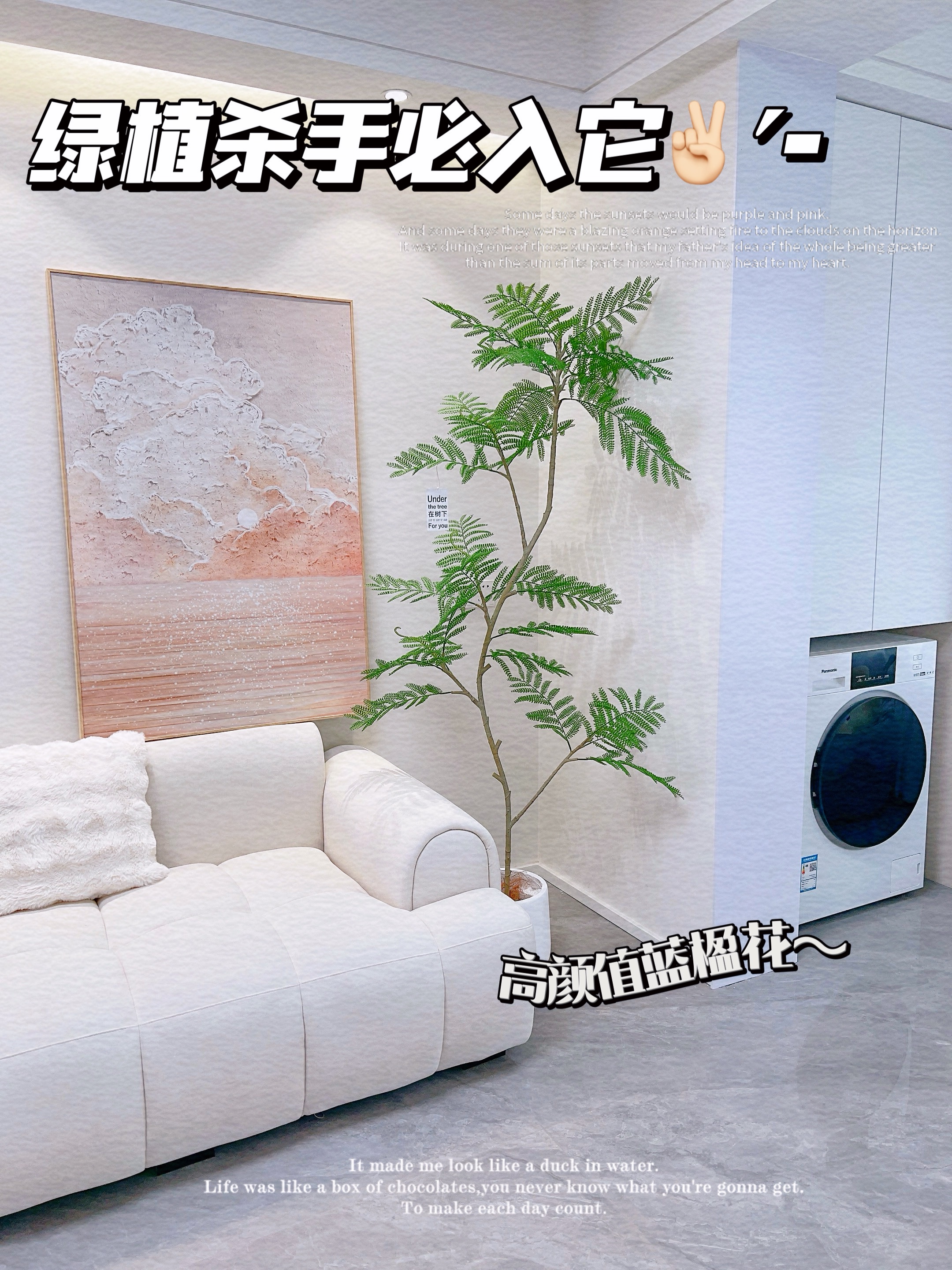 绿植杀手必入它！YYDS