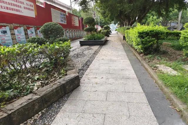 在学校，真正过得好的不是校长，也不是主任，而是一线的教师。