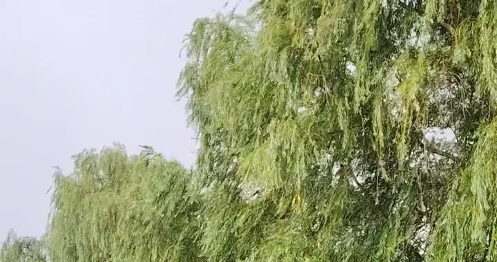 昆山突降暴雨局部夹杂冰雹！别盼下雨降温 “下开水”模式还要持续