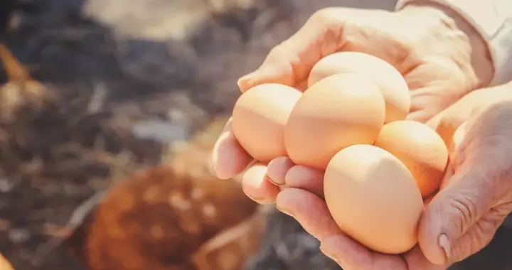 浙大研究：每天多吃一个蛋，心脏疾病和癌症风险增加？可信吗？