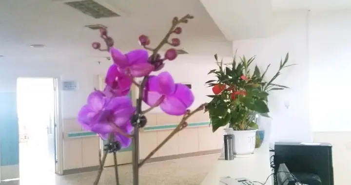 SGLT2i降糖三兄弟：达格列净、恩格列净、卡格列净有什么区别？