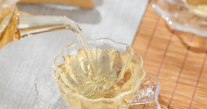 记住这5个“绝对不要”，你的白茶好喝程度立刻翻倍！