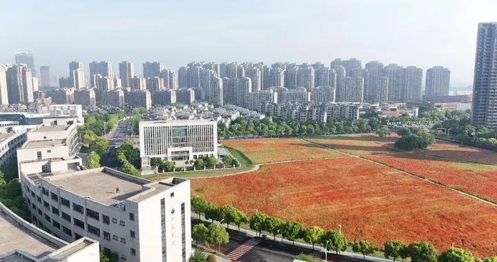 99公益日，不只是捐款：77个公益项目，家长可以申请服务