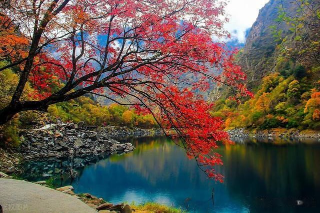 川西看红叶彩林旅游攻略: 九个景区